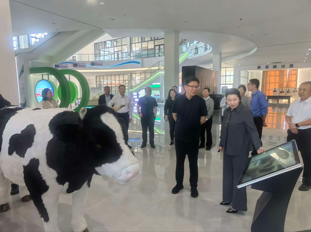 京蒙教育协作调研组到我校调研指导